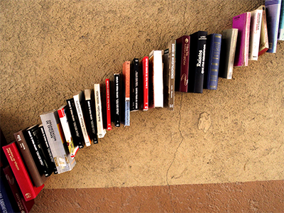 llibres 10