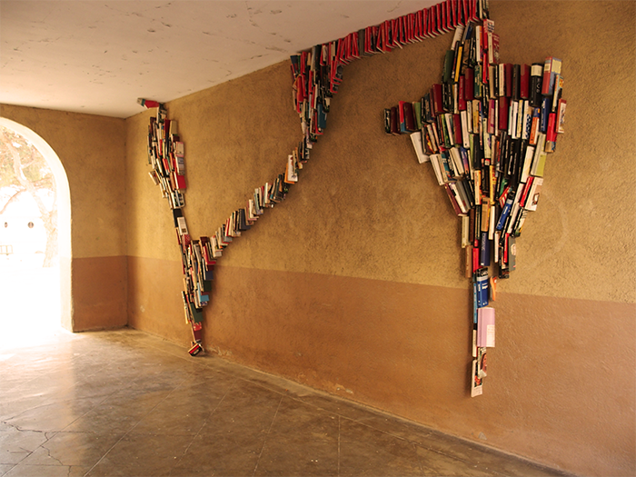 llibres 3