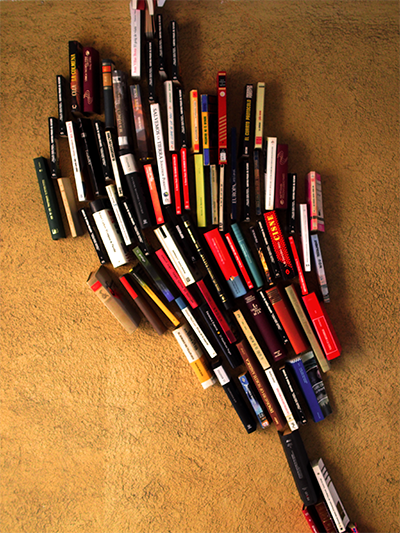 llibres 4