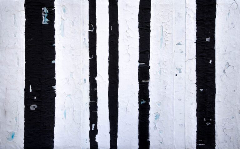 Blanc-i-negre-II-1-scaled.jpg