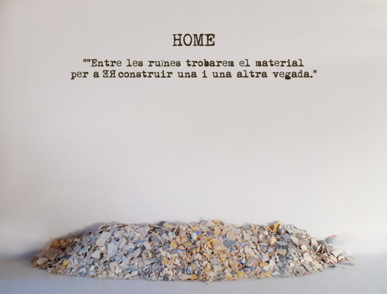home-CAT-scaled.jpg